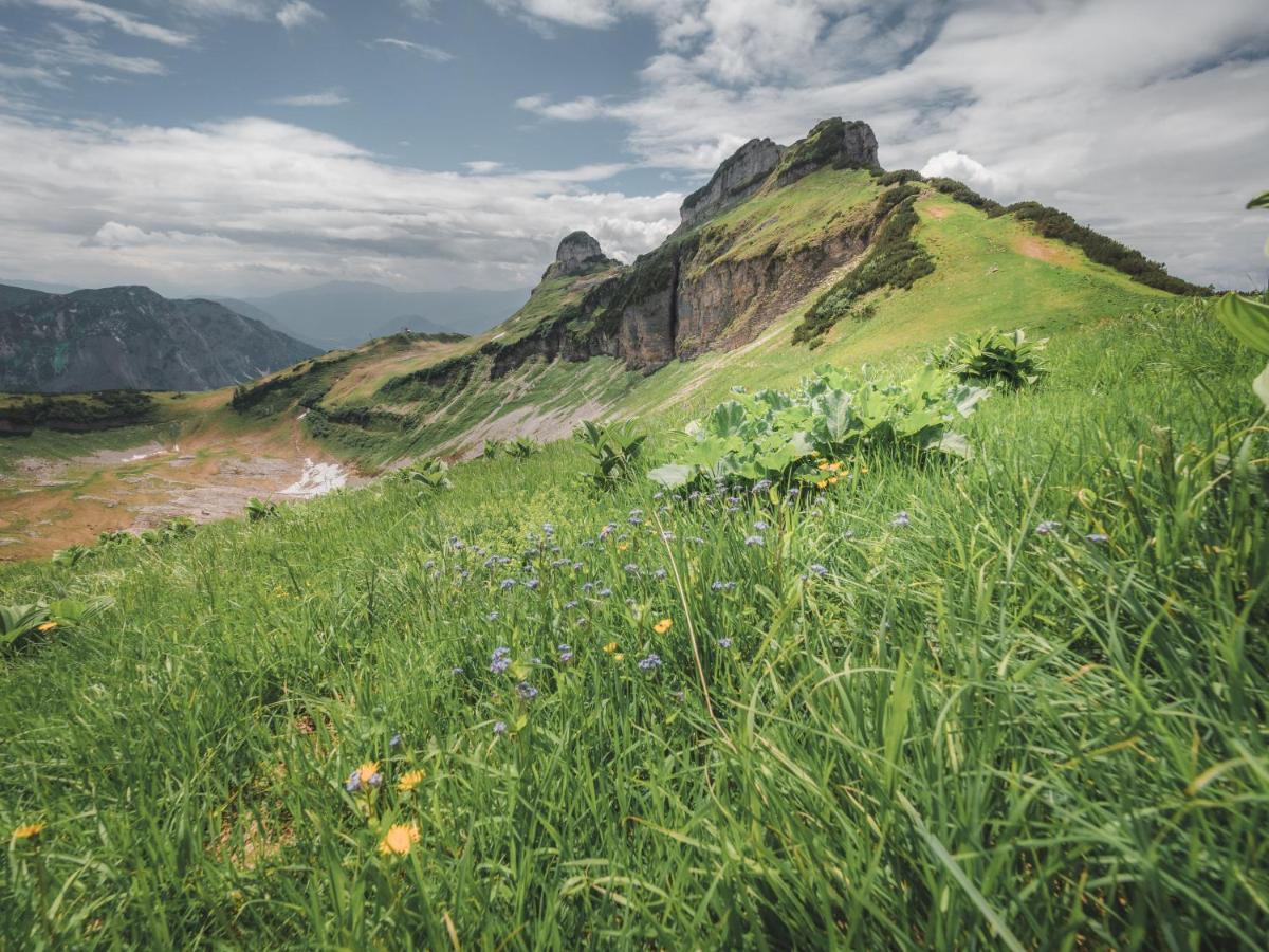 Alpenglueck Tauplitz Leilighet Eksteriør bilde